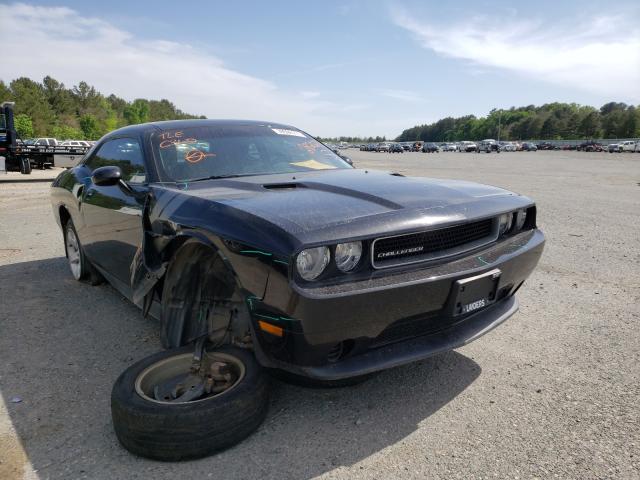 DODGE CHALLENGER 2014 2c3cdyag1eh282023