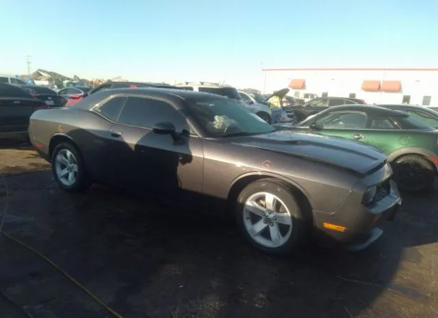 DODGE CHALLENGER 2014 2c3cdyag1eh285598