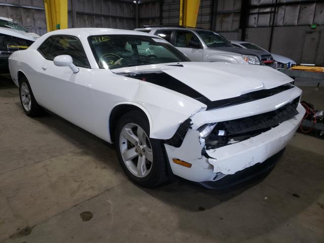 DODGE CHALLENGER 2013 2c3cdyag2dh510481