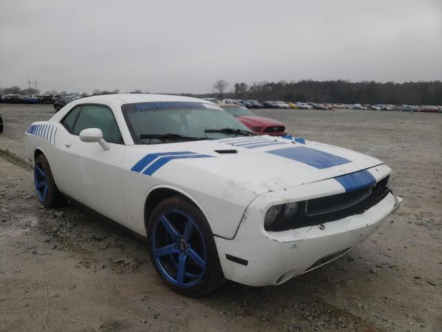 DODGE CHALLENGER 2013 2c3cdyag2dh578571