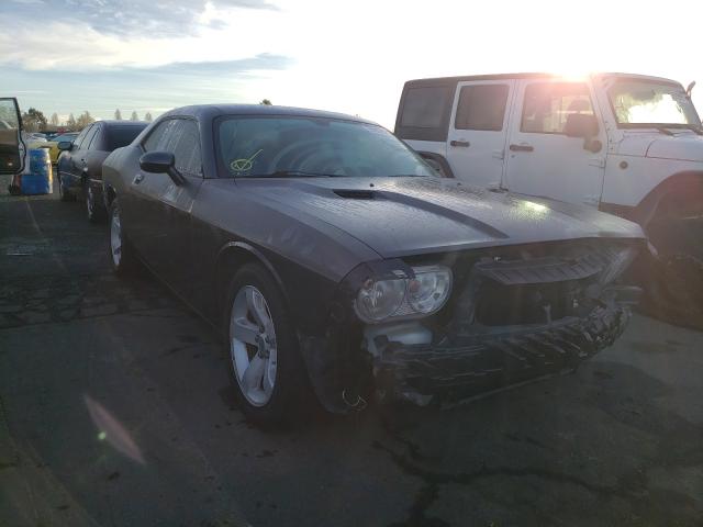 DODGE CHALLENGER 2013 2c3cdyag2dh582295