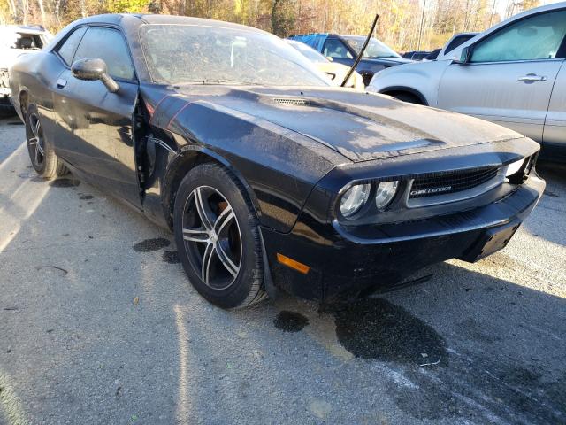 DODGE CHALLENGER 2013 2c3cdyag2dh607499