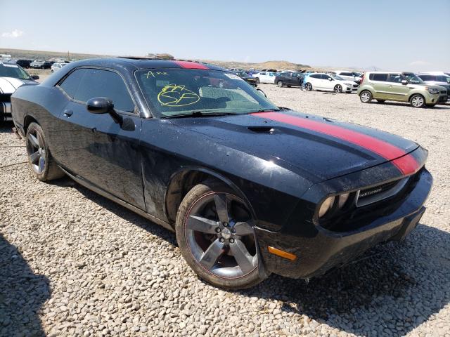 DODGE CHALLENGER 2013 2c3cdyag2dh650899