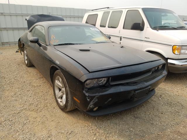 DODGE CHALLENGER 2013 2c3cdyag2dh669890