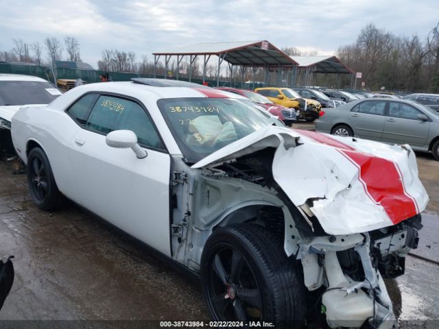 DODGE CHALLENGER 2014 2c3cdyag2eh102046