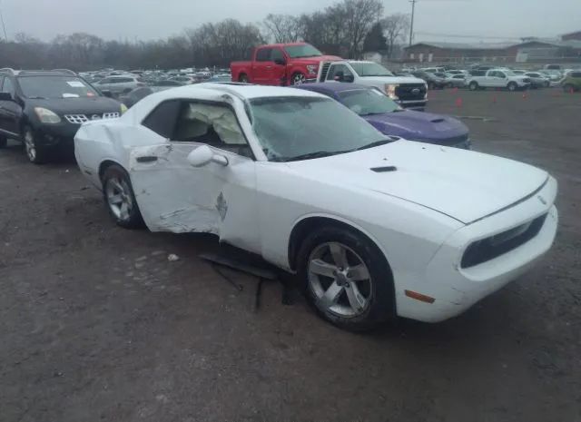 DODGE CHALLENGER 2014 2c3cdyag2eh251444