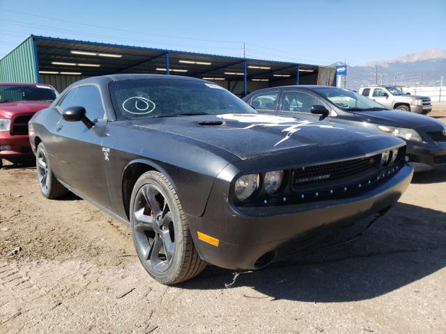 DODGE CHALLENGER 2014 2c3cdyag2eh306426