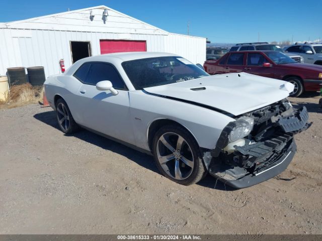 DODGE CHALLENGER 2014 2c3cdyag2eh310380