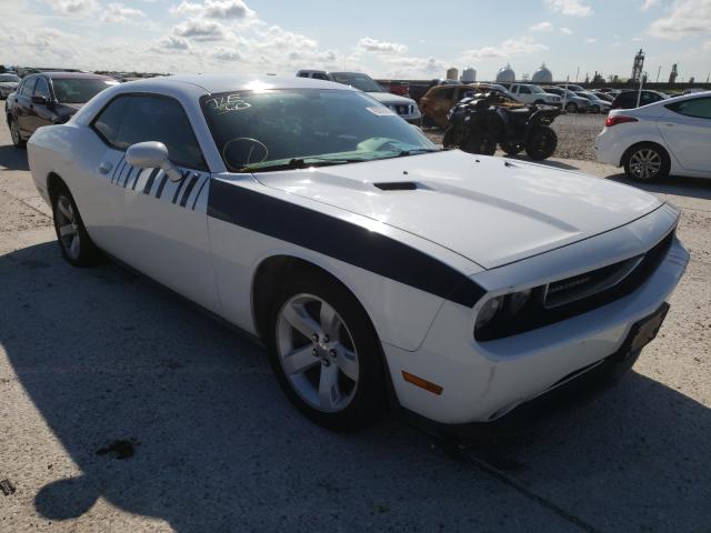 DODGE CHALLENGER 2013 2c3cdyag3dh501403