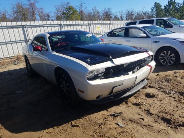 DODGE CHALLENGER 2013 2c3cdyag3dh540508