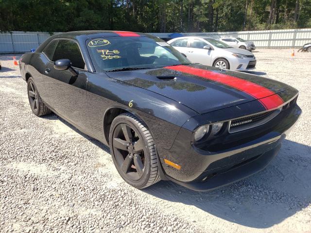 DODGE CHALLENGER 2013 2c3cdyag3dh540539