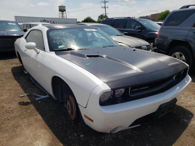 DODGE CHALLENGER 2013 2c3cdyag3dh540749