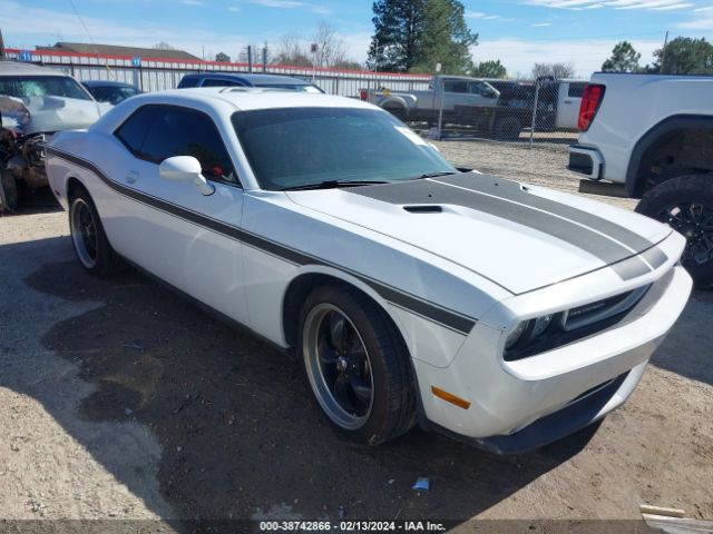 DODGE CHALLENGER 2013 2c3cdyag3dh553808