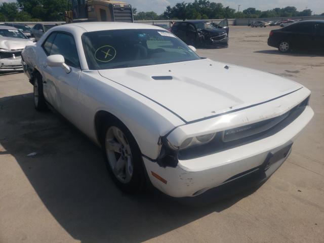 DODGE CHALLENGER 2013 2c3cdyag3dh569605