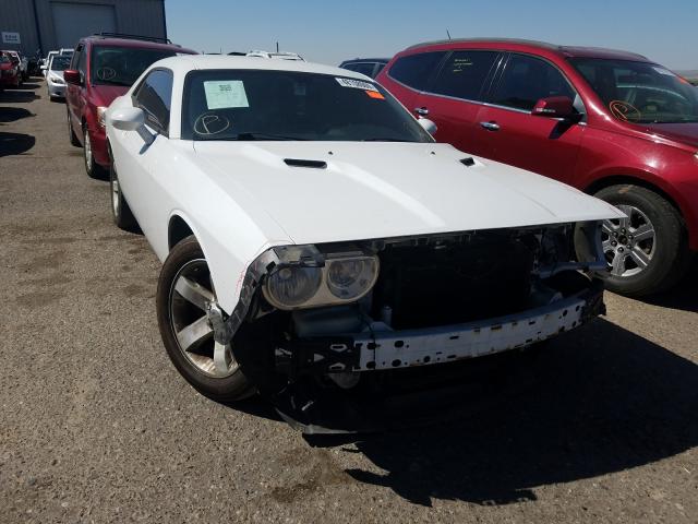 DODGE CHALLENGER 2013 2c3cdyag3dh607298