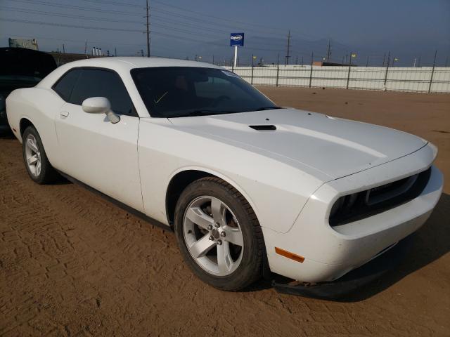 DODGE CHALLENGER 2013 2c3cdyag3dh607687