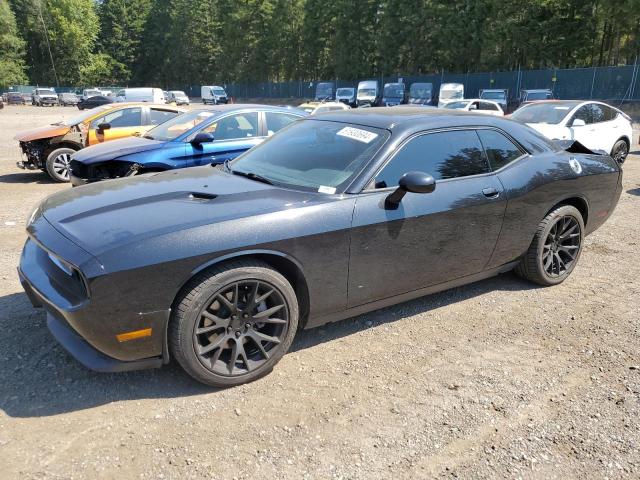 DODGE CHALLENGER 2013 2c3cdyag3dh679697