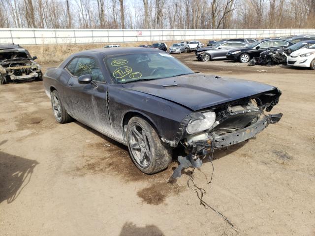 DODGE CHALLENGER 2013 2c3cdyag3dh695611