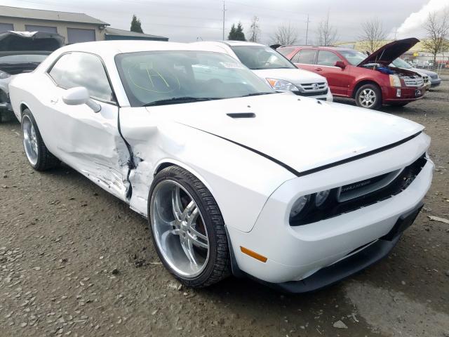 DODGE CHALLENGER 2013 2c3cdyag3dh704470