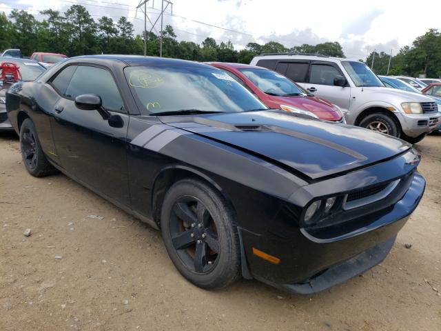 DODGE CHALLENGER 2013 2c3cdyag3dh718644