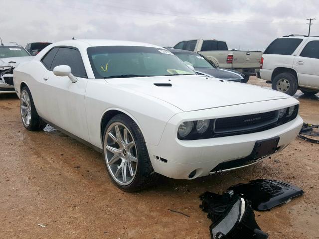 DODGE CHALLENGER 2013 2c3cdyag3dh724301