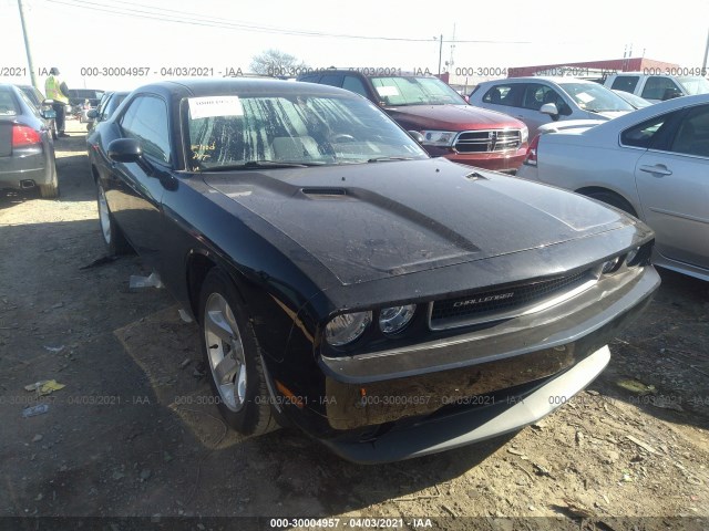 DODGE CHALLENGER 2013 2c3cdyag3dh736402