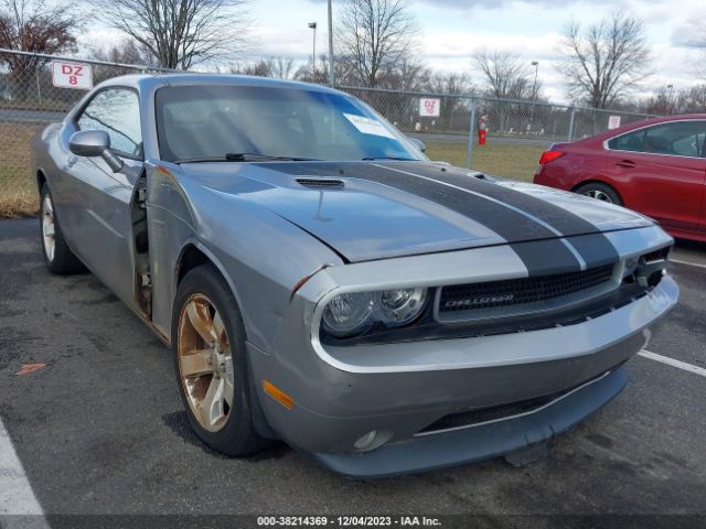 DODGE CHALLENGER 2013 2c3cdyag3dh741664