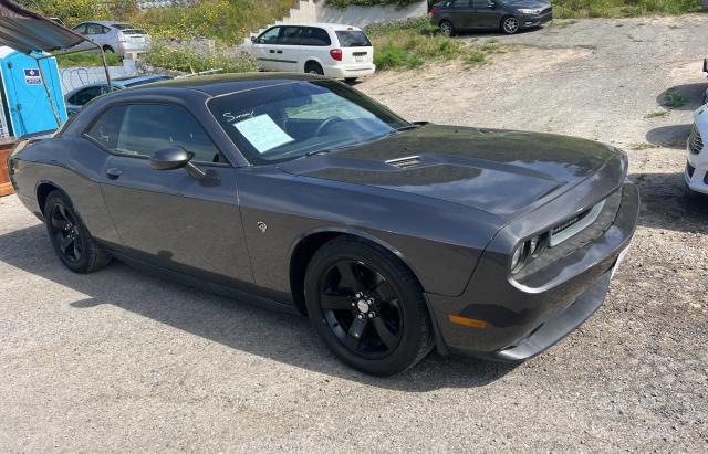 DODGE CHALLENGER 2014 2c3cdyag3eh101259