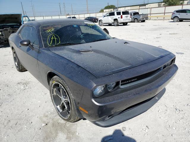 DODGE CHALLENGER 2014 2c3cdyag3eh137520