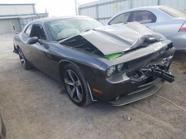 DODGE CHALLENGER 2014 2c3cdyag3eh298255