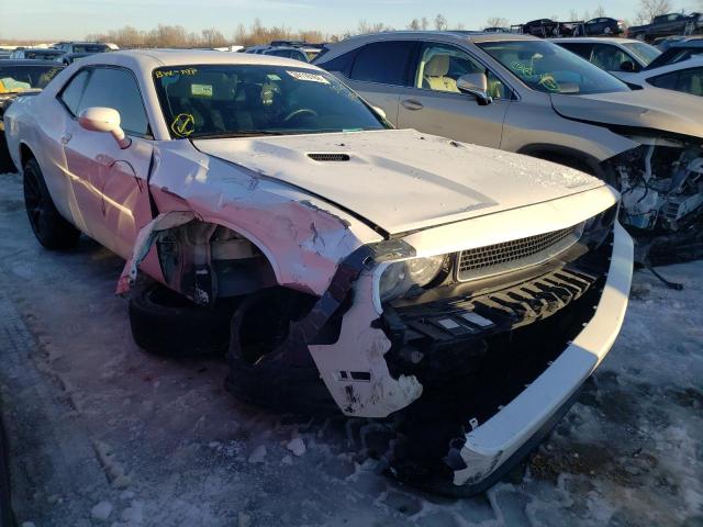 DODGE CHALLENGER 2014 2c3cdyag3eh304331