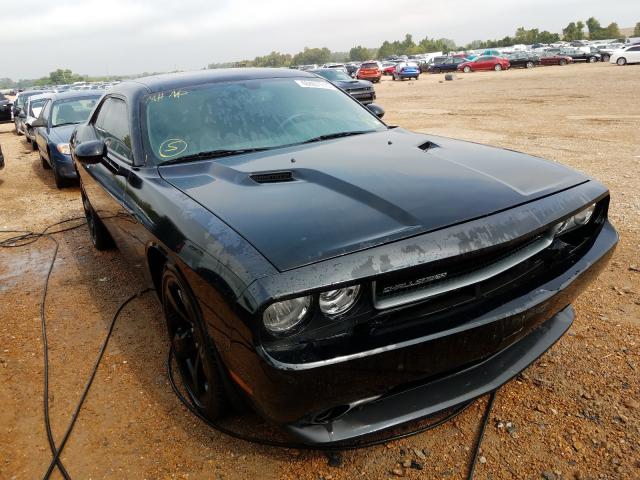 DODGE CHALLENGER 2014 2c3cdyag3eh313711