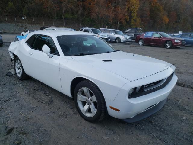 DODGE CHALLENGER 2013 2c3cdyag4dh595498