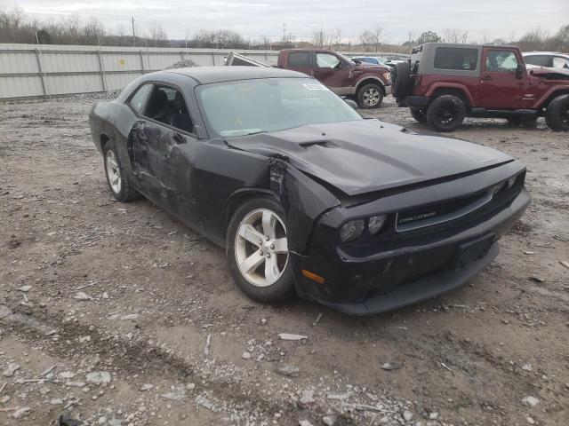 DODGE CHALLENGER 2013 2c3cdyag4dh641329