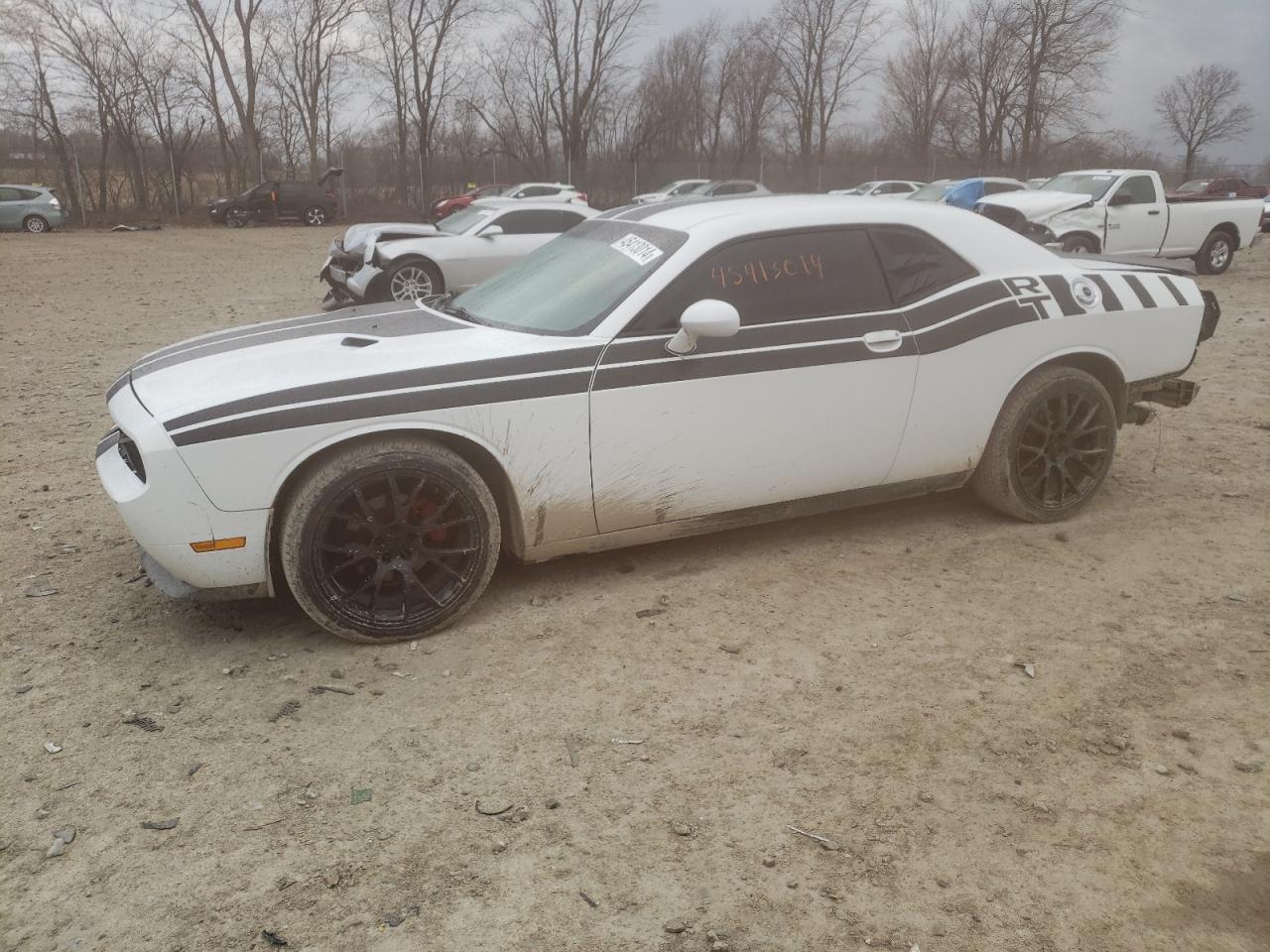 DODGE CHALLENGER 2013 2c3cdyag4dh670040