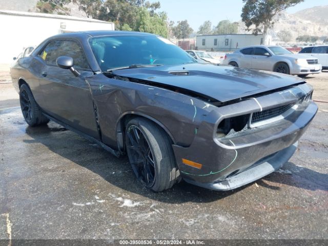 DODGE CHALLENGER 2013 2c3cdyag4dh670118