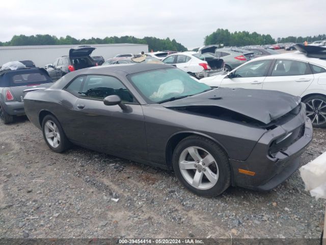 DODGE CHALLENGER 2013 2c3cdyag4dh695505