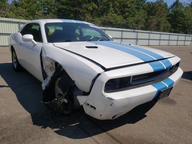 DODGE CHALLENGER 2013 2c3cdyag4dh719124