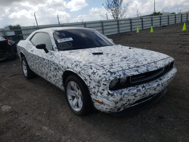 DODGE CHALLENGER 2014 2c3cdyag4eh195104