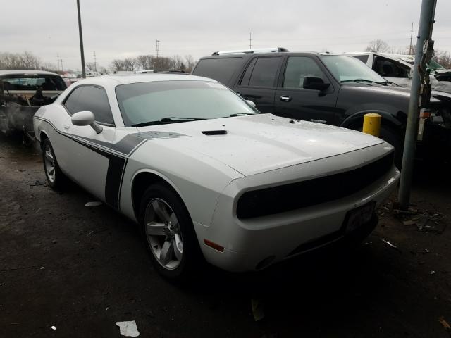 DODGE CHALLENGER 2014 2c3cdyag4eh206568