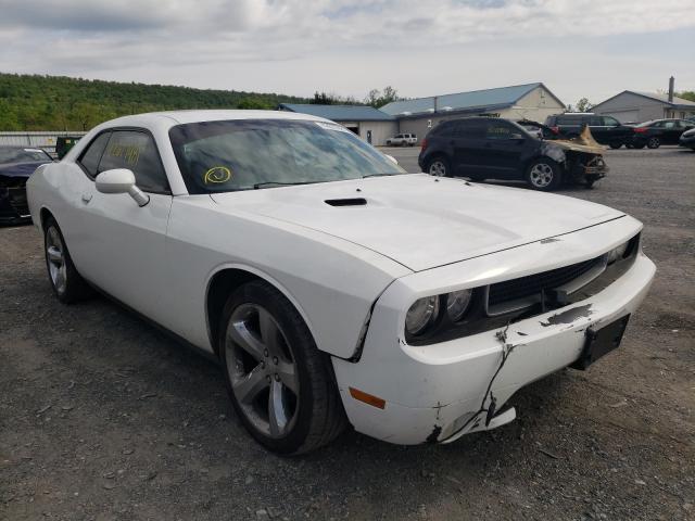 DODGE CHALLENGER 2014 2c3cdyag4eh208840