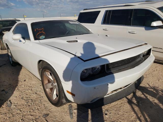 DODGE CHALLENGER 2014 2c3cdyag4eh280640