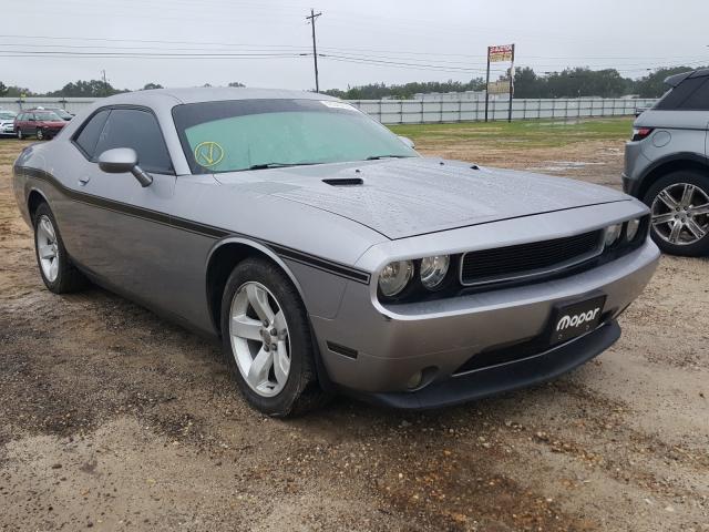 DODGE CHALLENGER 2013 2c3cdyag5dh582369