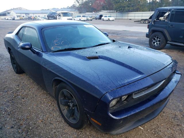 DODGE CHALLENGER 2013 2c3cdyag5dh607450