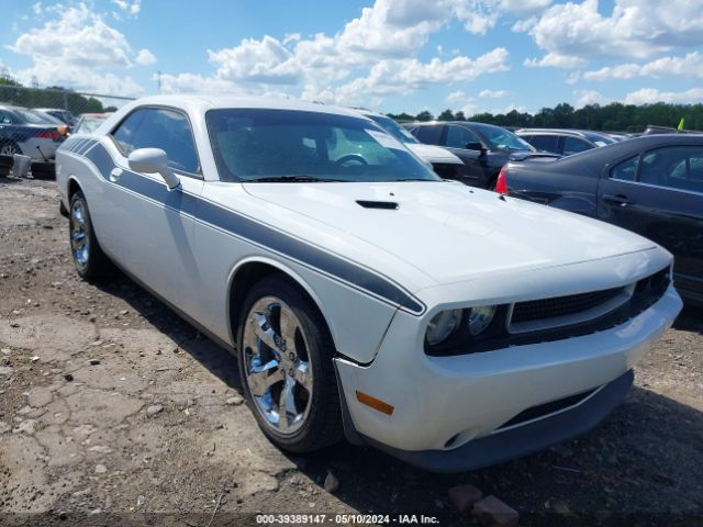 DODGE CHALLENGER 2013 2c3cdyag5dh642151