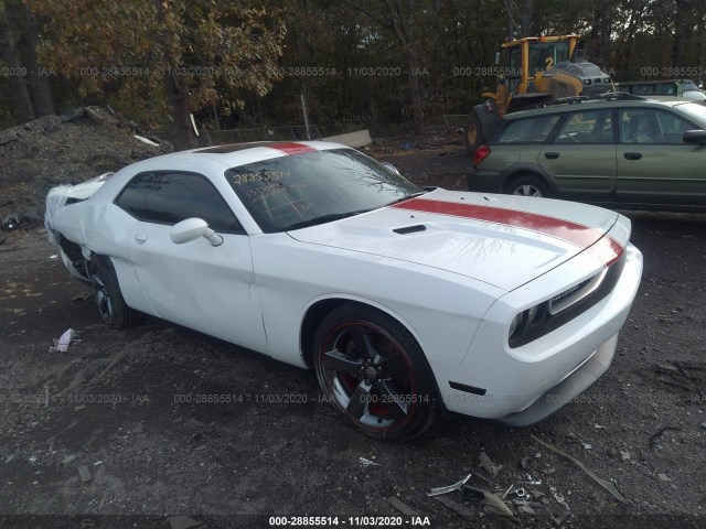 DODGE CHALLENGER 2013 2c3cdyag5dh676591