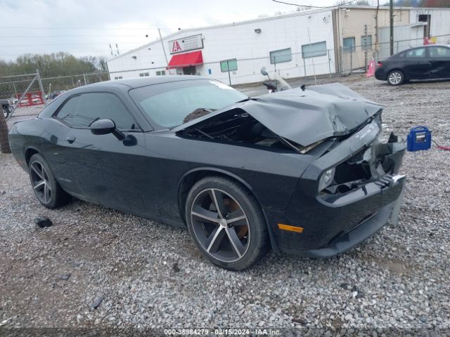 DODGE CHALLENGER 2013 2c3cdyag7dh530872