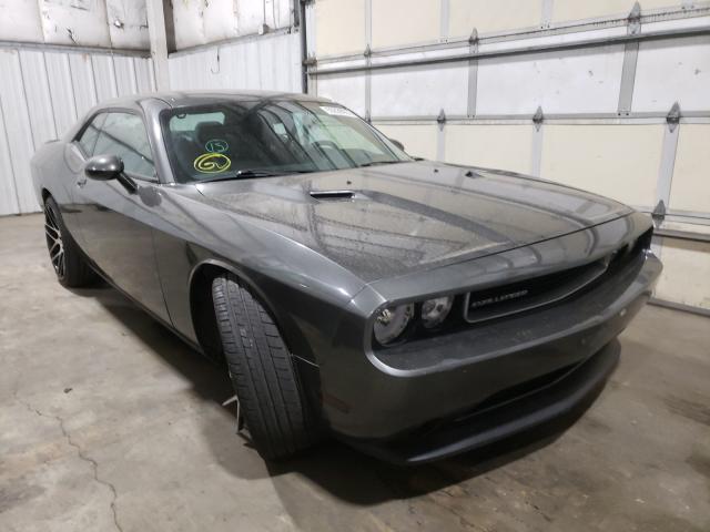 DODGE CHALLENGER 2013 2c3cdyag7dh562477