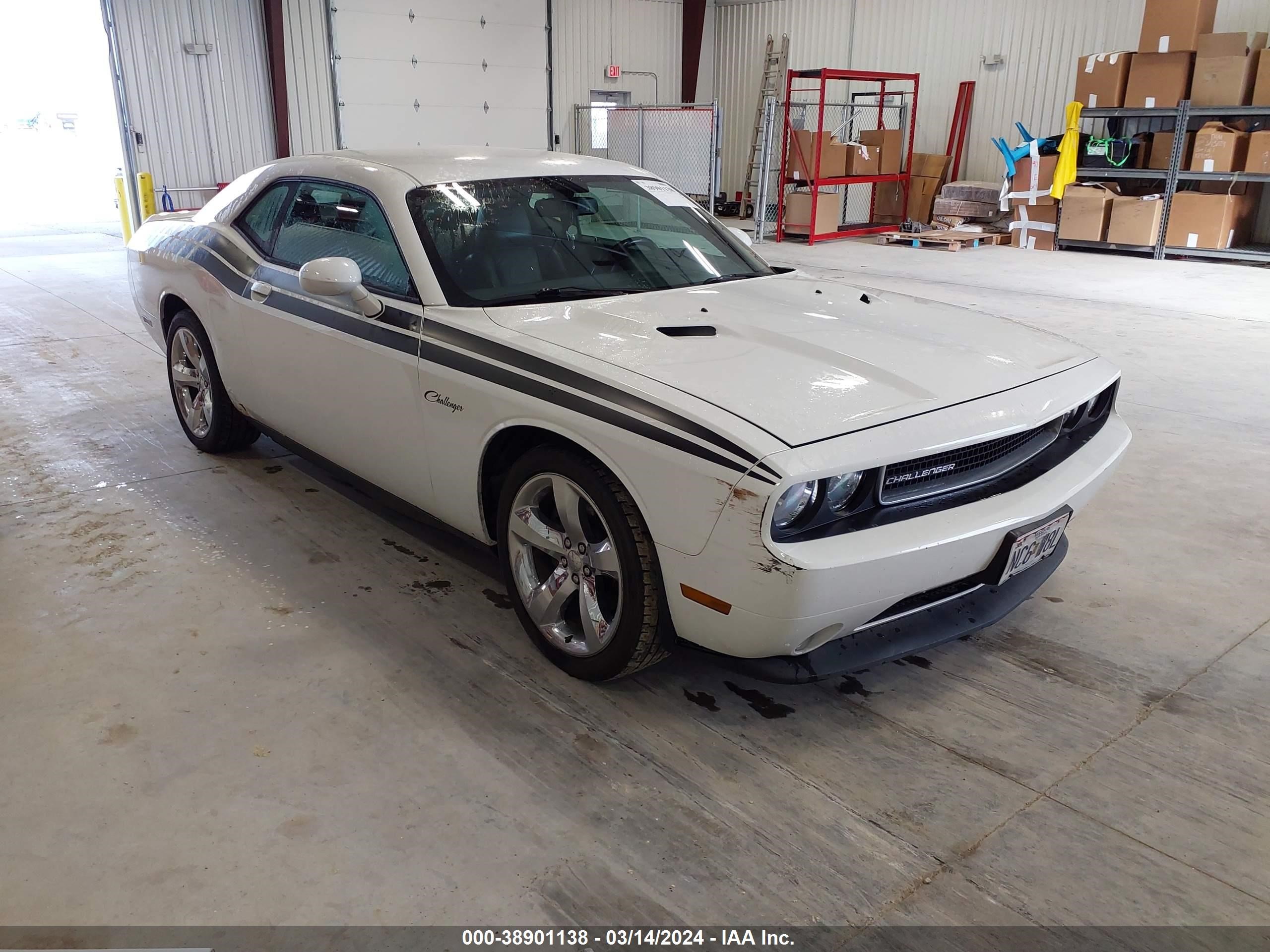 DODGE CHALLENGER 2013 2c3cdyag7dh562821