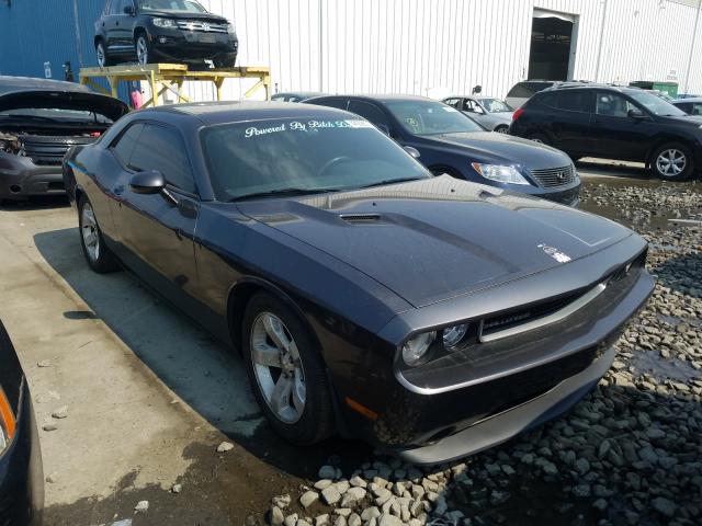 DODGE CHALLENGER 2013 2c3cdyag7dh609250